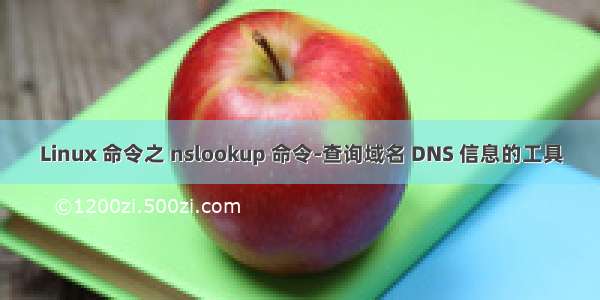 Linux 命令之 nslookup 命令-查询域名 DNS 信息的工具