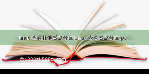 linux 查看其他磁盘分区 Linux 查看磁盘分区.pdf