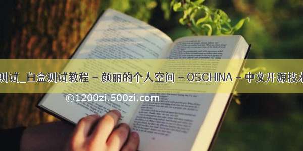 python 白盒测试_白盒测试教程 - 颜丽的个人空间 - OSCHINA - 中文开源技术交流社区...