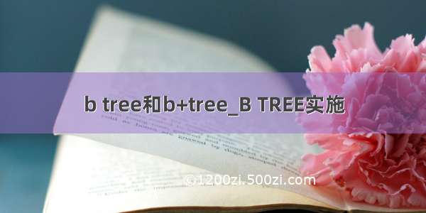 b tree和b+tree_B TREE实施