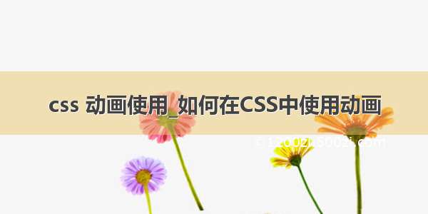 css 动画使用_如何在CSS中使用动画