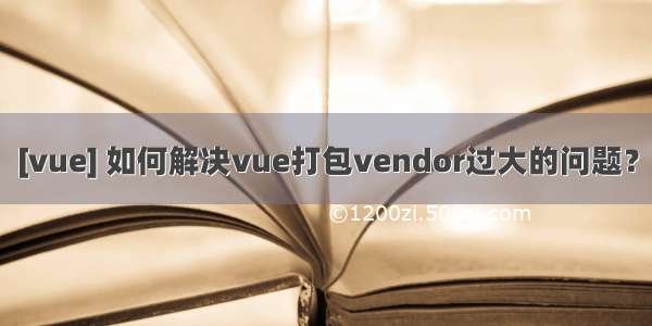 [vue] 如何解决vue打包vendor过大的问题？