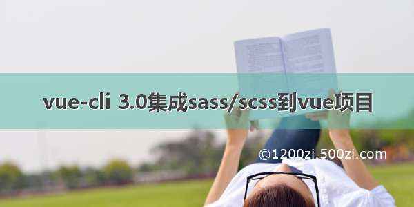 vue-cli 3.0集成sass/scss到vue项目