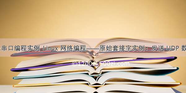 linux串口编程实例_Linux 网络编程——原始套接字实例：发送 UDP 数据包