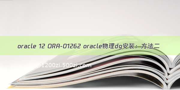 oracle 12 ORA-01262 oracle物理dg安装：方法二