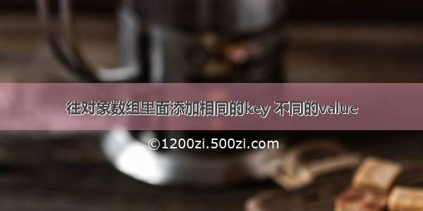 往对象数组里面添加相同的key 不同的value