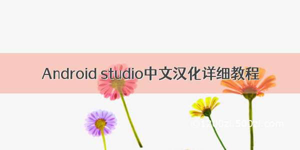 Android studio中文汉化详细教程