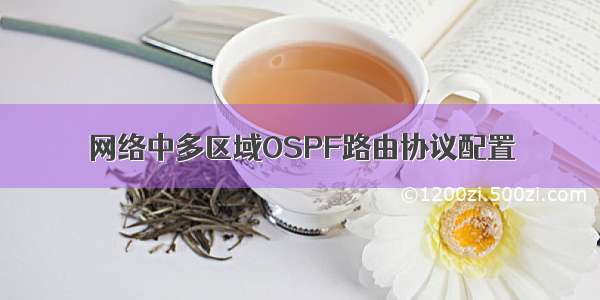 网络中多区域OSPF路由协议配置