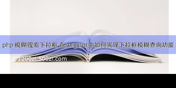 php 模糊搜索下拉框 在Angular中如何实现下拉框模糊查询功能