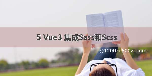 5 Vue3 集成Sass和Scss