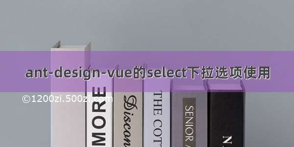 ant-design-vue的select下拉选项使用