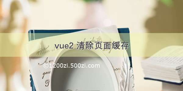 vue2 清除页面缓存