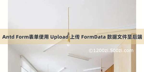 Antd Form表单使用 Upload 上传 FormData 数据文件至后端