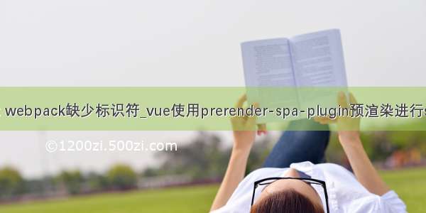 vue init webpack缺少标识符_vue使用prerender-spa-plugin预渲染进行seo优化