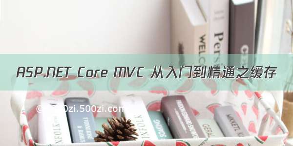 ASP.NET Core MVC 从入门到精通之缓存