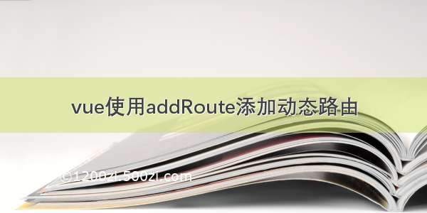 vue使用addRoute添加动态路由