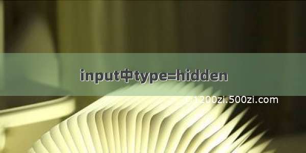 input中type=hidden