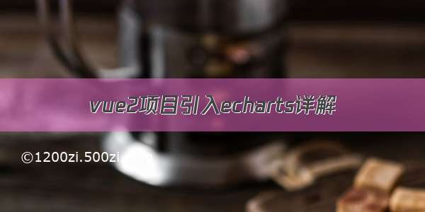 vue2项目引入echarts详解