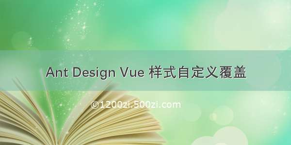 Ant Design Vue 样式自定义覆盖