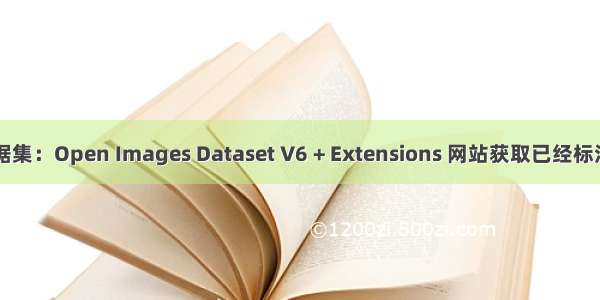 目标检测数据集：Open Images Dataset V6 + Extensions 网站获取已经标注好的数据集