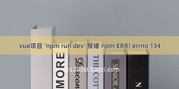 vue项目 ‘npm run dev‘ 报错 npm ERR! errno 134