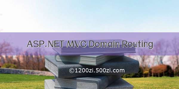 ASP.NET MVC Domain Routing