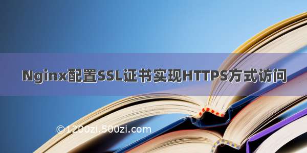 Nginx配置SSL证书实现HTTPS方式访问