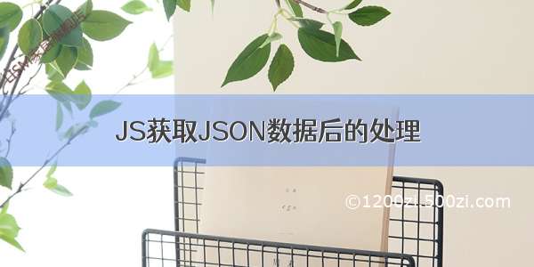 JS获取JSON数据后的处理