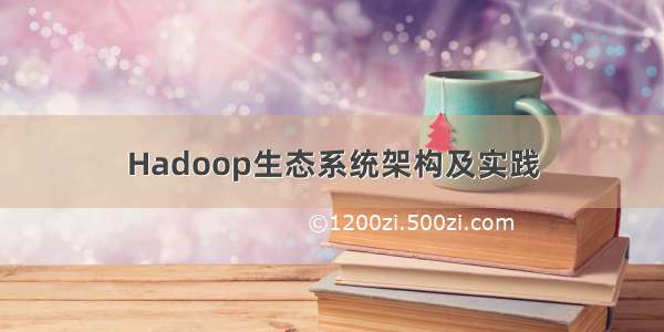 Hadoop生态系统架构及实践