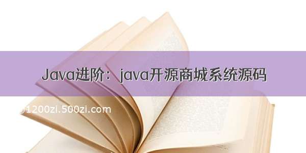 Java进阶：java开源商城系统源码
