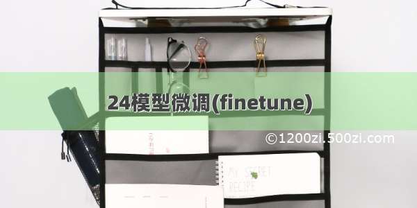 24模型微调(finetune)