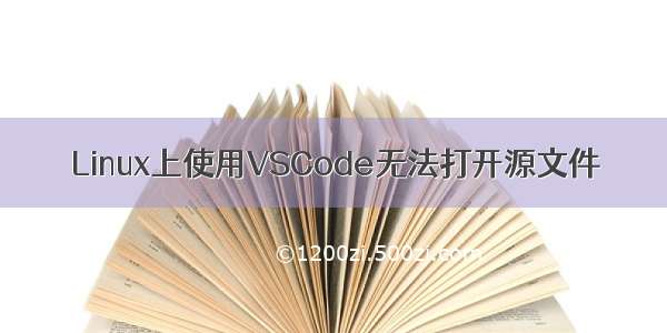 Linux上使用VSCode无法打开源文件