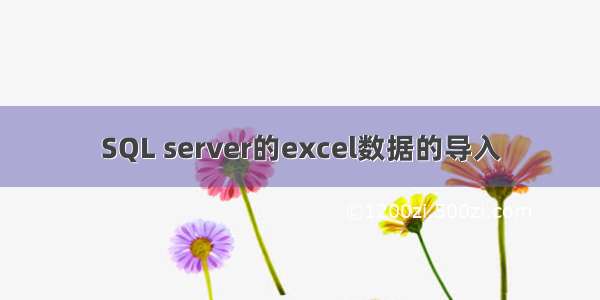 SQL server的excel数据的导入