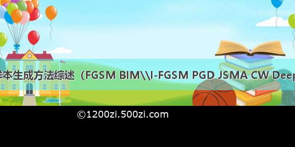 对抗样本生成方法综述（FGSM BIM\\I-FGSM PGD JSMA CW DeepFool）