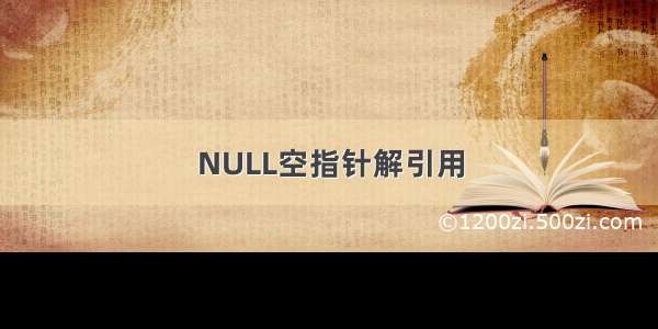 NULL空指针解引用