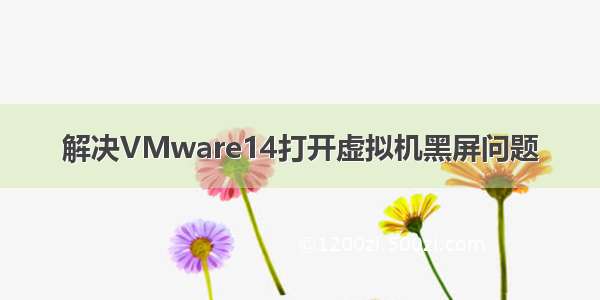 解决VMware14打开虚拟机黑屏问题