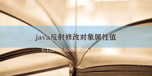 java反射修改对象属性值