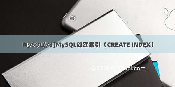 MySQL(73)MySQL创建索引（CREATE INDEX）