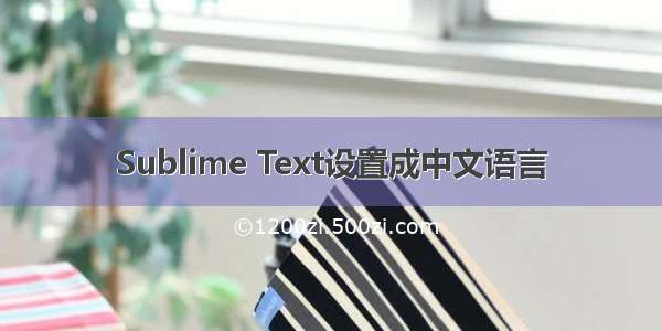 Sublime Text设置成中文语言