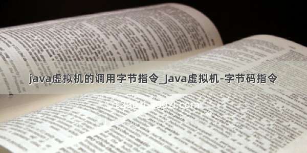 java虚拟机的调用字节指令_Java虚拟机-字节码指令