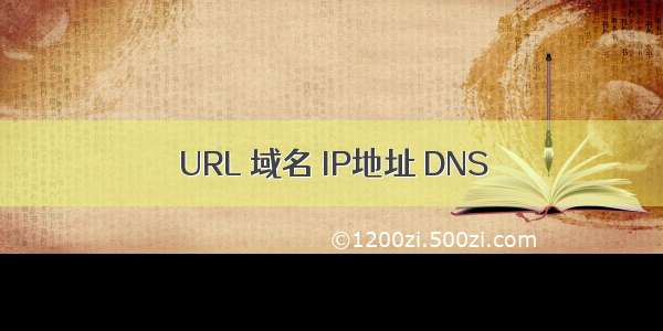 URL 域名 IP地址 DNS