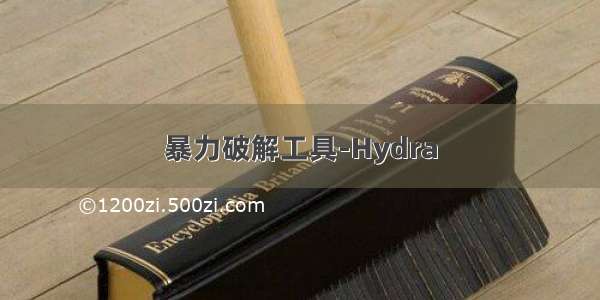 暴力破解工具-Hydra