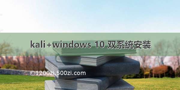 kali+windows 10 双系统安装