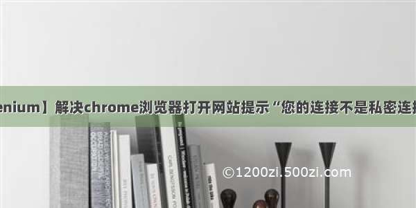 【Selenium】解决chrome浏览器打开网站提示“您的连接不是私密连接”问题