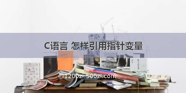 C语言 怎样引用指针变量