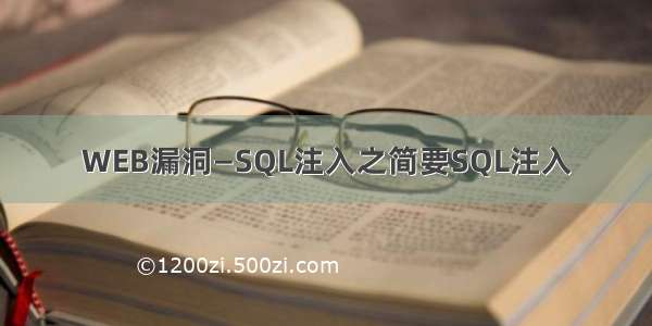 WEB漏洞—SQL注入之简要SQL注入