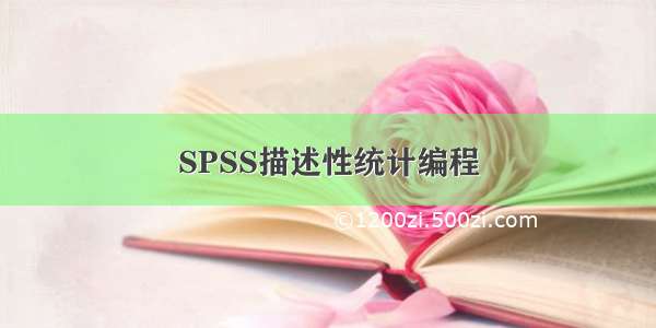 SPSS描述性统计编程