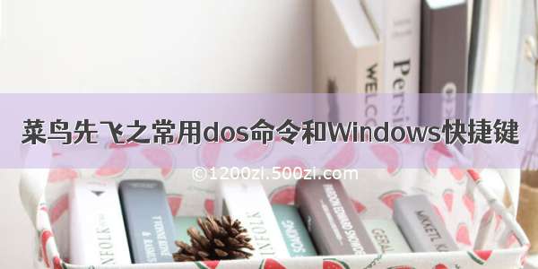 菜鸟先飞之常用dos命令和Windows快捷键