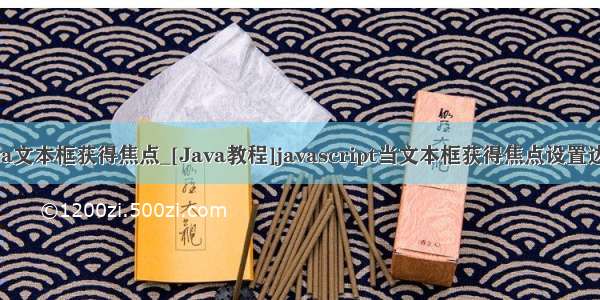 java文本框获得焦点_[Java教程]javascript当文本框获得焦点设置边框