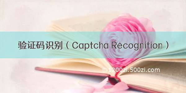 验证码识别（Captcha Recognition）